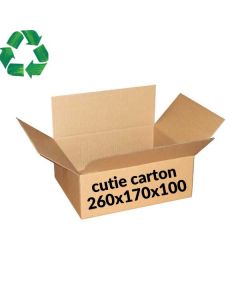 Cutie 260x170x100 mm 1411