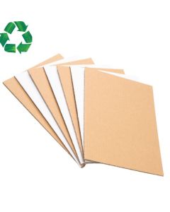 Placa carton albit set 100 buc 2977